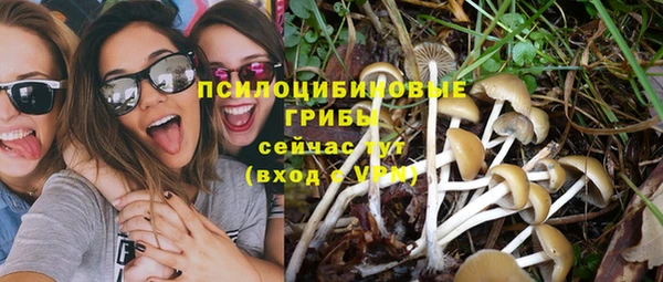 амф Магас
