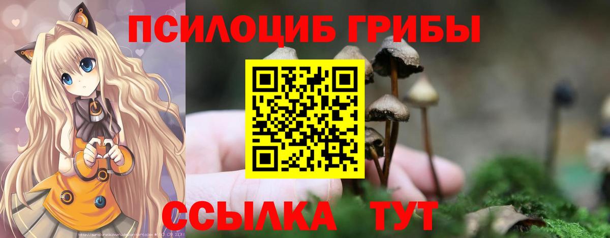Галлюциногенные грибы Psilocybe  Вход с VPN  Армавир 